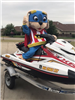 Safety Pup on a jet ski