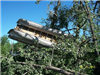2010 Tornado Damage