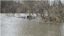 Pickup Almost Covered in Water