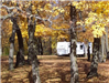 RV Parked in Trees at Cross Lake-Tilberg Park