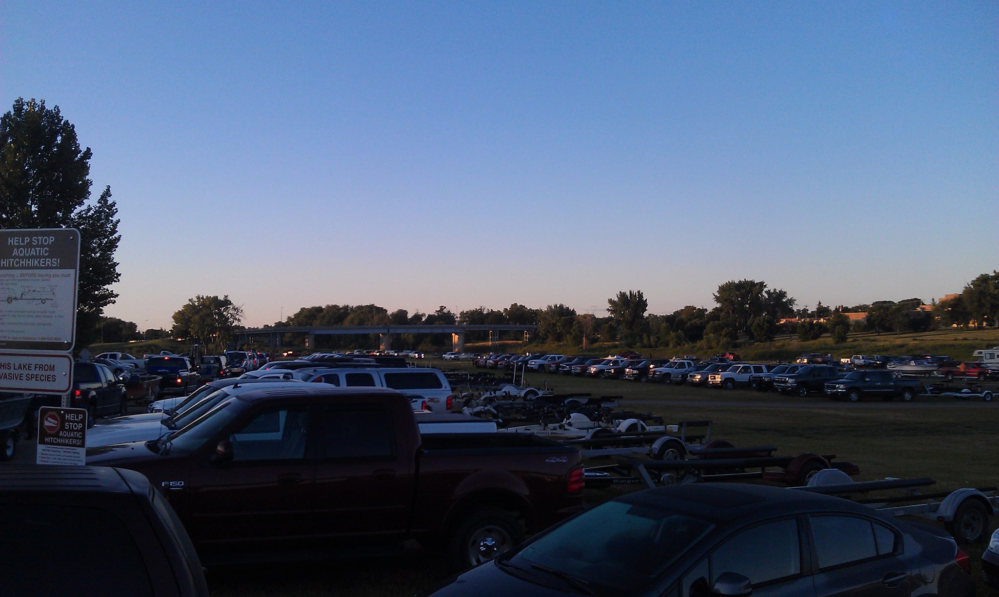 Cats Parking Lot 2013